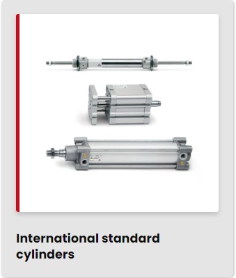 international Standard cylinders_CAMOZZI