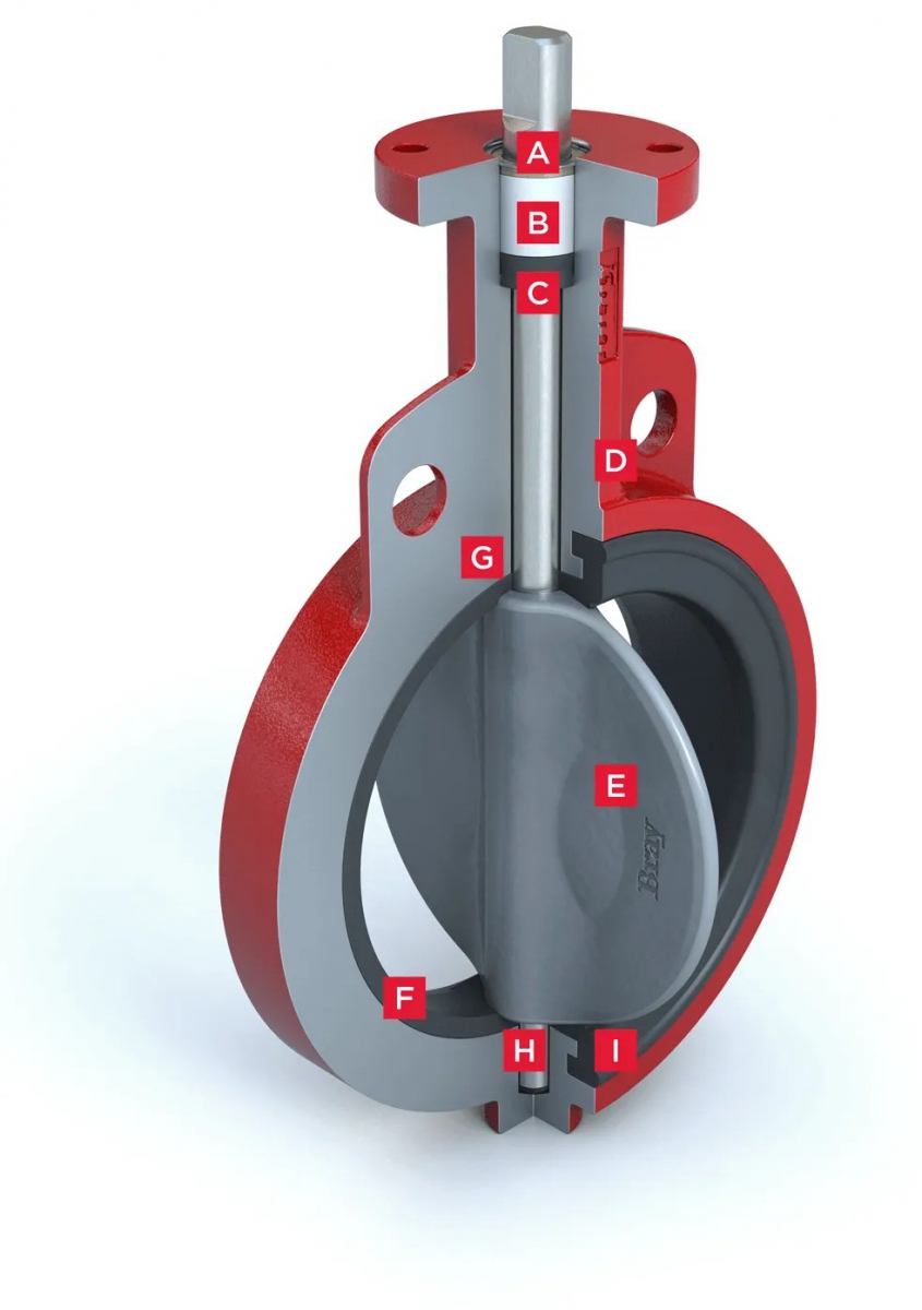 Van bướm Bray Series 30/31 chính hãng